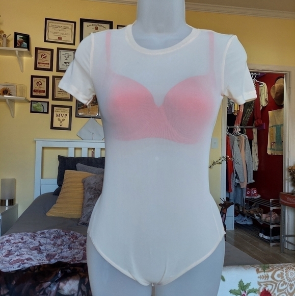 Adorable Sheer Mesh Bodysuit - Picture 1 of 16